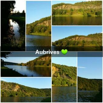 Hotel L'ameriviere***