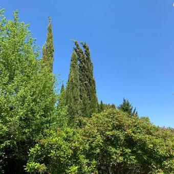 Hostal La Maison De Victor