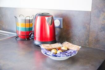 Apartamento Le 001-lumineux-netflix-son Devialet-gregimmo