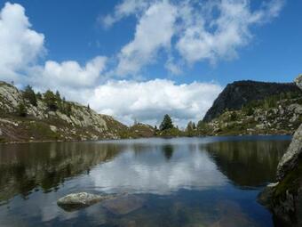 Posada Refuge Des �tangs De Bassi�s