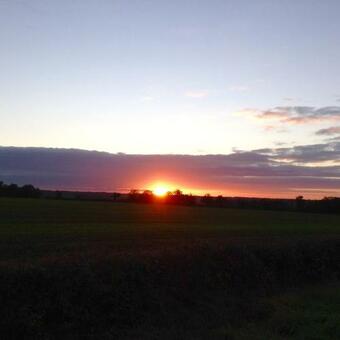 Homestay At Residence De La Arrabella