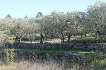 Le Mas Du Mont-long - Sud Ard�che