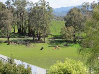 Bed & Breakfast Honeyeater Cottage