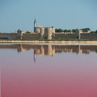 Bed & Breakfast Studio Au Coeur De La Petite Camargue
