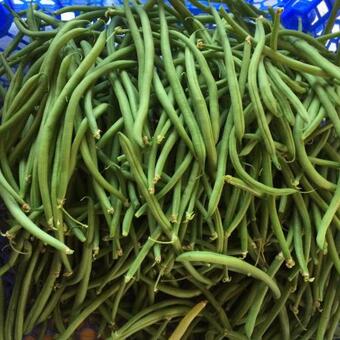 Spice Of Life Apartment