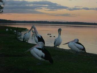 Best Western Bridgeview Motel