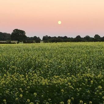 Apartamento Ferienwohnung Basthorst