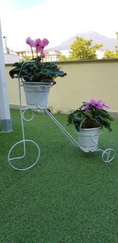 Pompei Vesevus Apartament