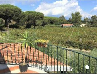 Villa Casale Rendine