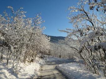 Apartamento La Chiocciola...the Snail
