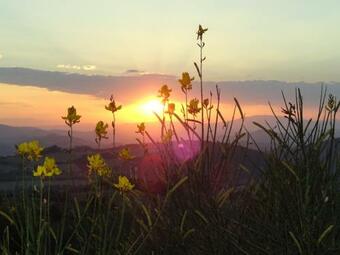 Apartamento Agriturismo Vellaneta