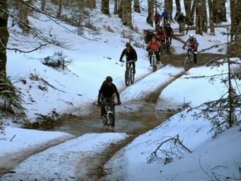 La Stella Danzante B&B