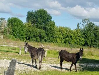 Apartamento Studio Au Domaine De La Petiti�re