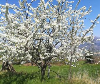 G�te Du Grand Delmas