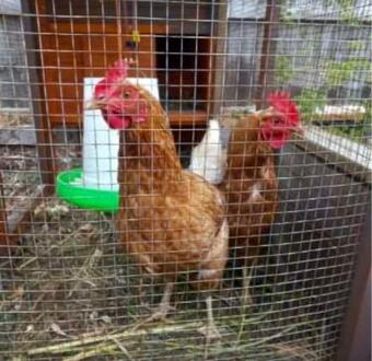 Bed & Breakfast By The Bay Private Guest Suite