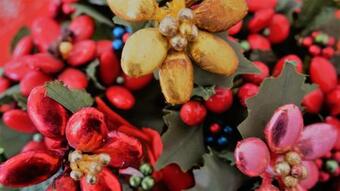 Apartamento Favelle House