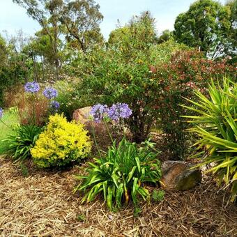 Merlot Mountain Haven