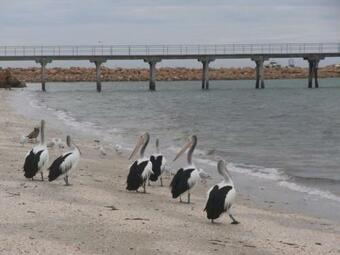 Apartamento Smoky Bay Holiday Home