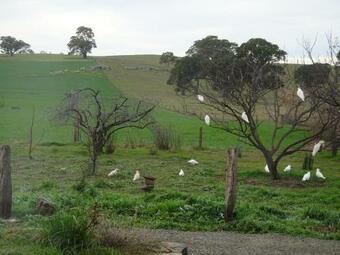 Hostal Meander Retreat