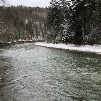 Villa Blue Mountains