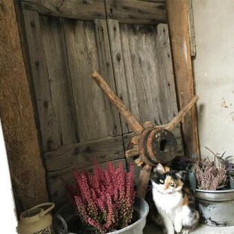 B&B La Corte Del Segrino