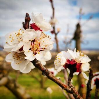 Apartamento Studio Au C?ur De La Nature