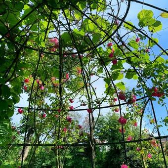 Hostal Moulin Moulin Maison D'hotes