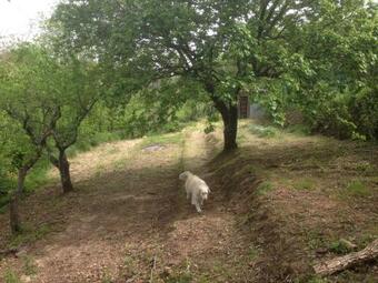 Apartamento Il Ciglieri Di Sant'ermo