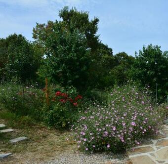 Agroturismo Casale Dionisia