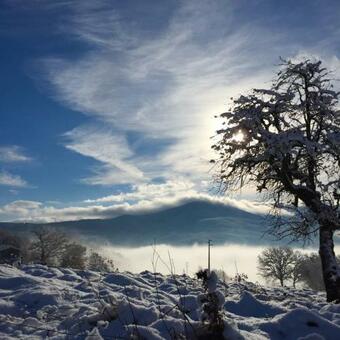 Apartamento Andante Appartamenti