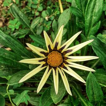 Hostal Villa Matilde Costa Rei