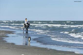 Bed & Breakfast La Zia Acida