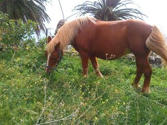 Agroturismo Azienda Agrituristica Le Terre Di San Leonardo