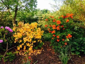 Bed & Breakfast Spinkebjerg 18, 7400 Herning