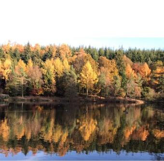 Woodmill Farm Cottage