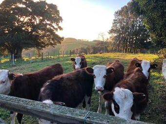 Cosy Lifestyle Cottage Perfect Getaway