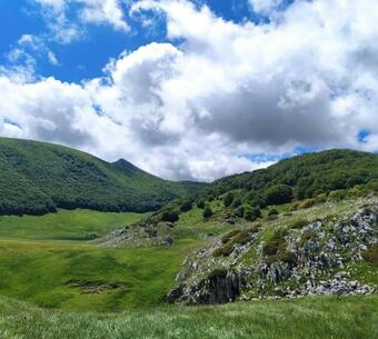 Bed & Breakfast Casa Ciuffina