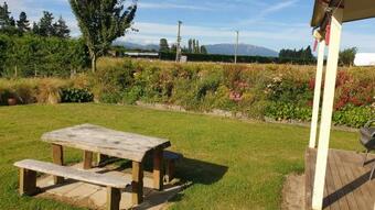 Bed & Breakfast Bahara Accommodation