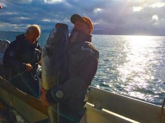 Mountain View Lofoten