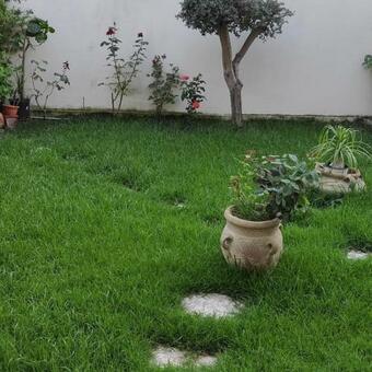 Hostal Grace Dell'isola Dei Coralli