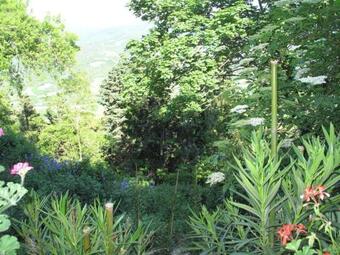 Apartamento La Grotta