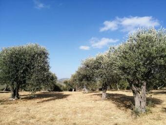 Casa Mare E Tramonto