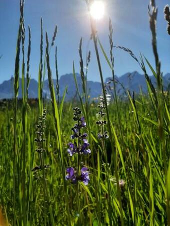 Apartamento Appartamento G.& G.