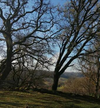 Le Pigonnier Ecogite Le Luquet Tarn Et Garonne