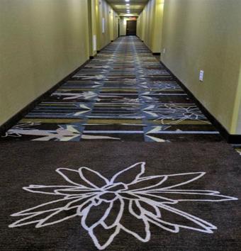 Hotel Staybridge Suites St. Petersburg Fl