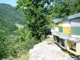 Agroturismo Agriturismo Pedrosola