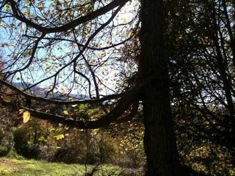 Villa Finca La Hondura