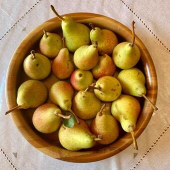 Bed & Breakfast Bot�p Ai Tigli