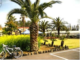 Hotel Jeju Yilin Pension