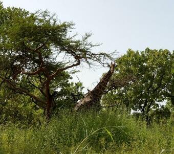 Hotel Arijana - Just Heavenly